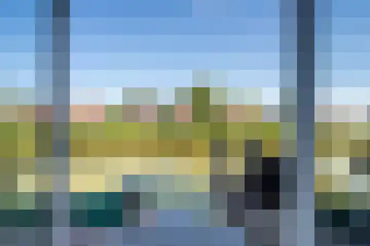 De Waard 155 Groningen thumbnail 13