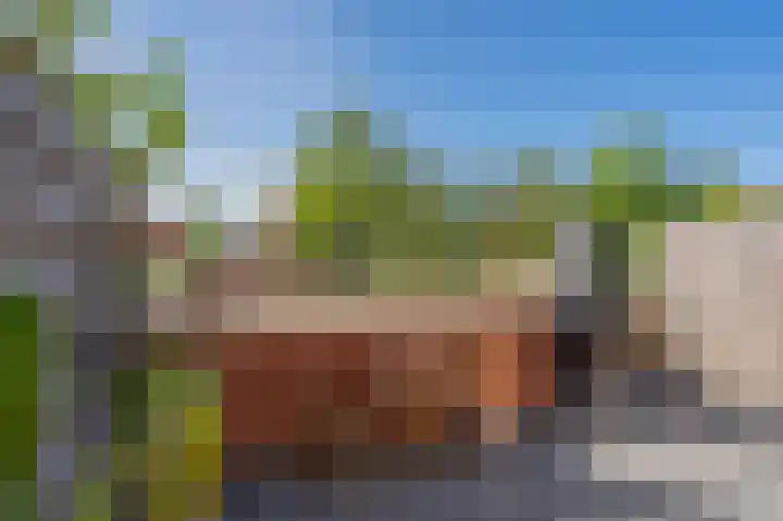 De Waard 155 Groningen thumbnail 36