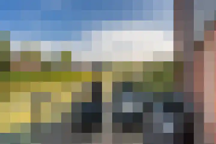 De Waard 155 Groningen thumbnail 38