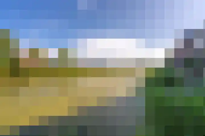 De Waard 155 Groningen thumbnail 41