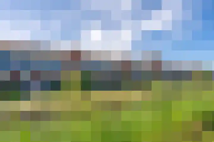 De Waard 155 Groningen thumbnail 44