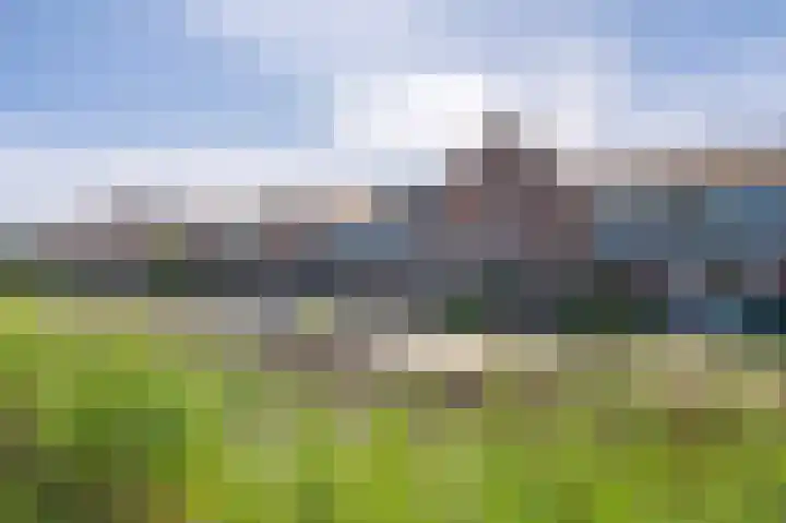 De Waard 155 Groningen thumbnail 45