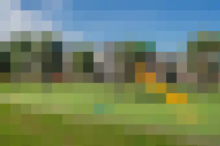 De Waard 155 Groningen thumbnail 46