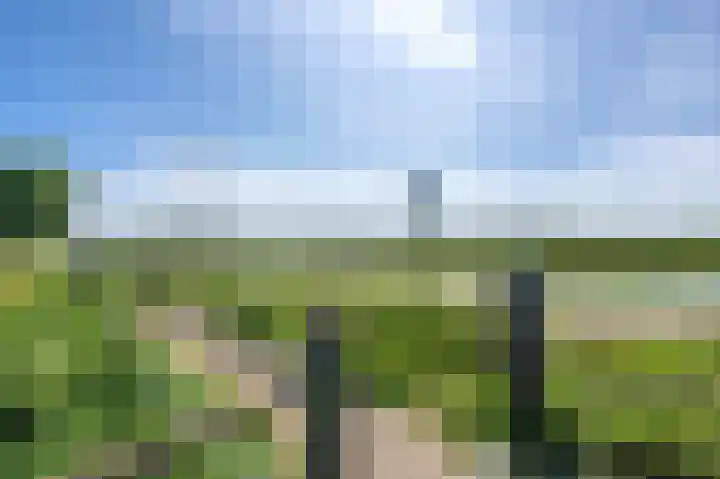 De Waard 155 Groningen thumbnail 47