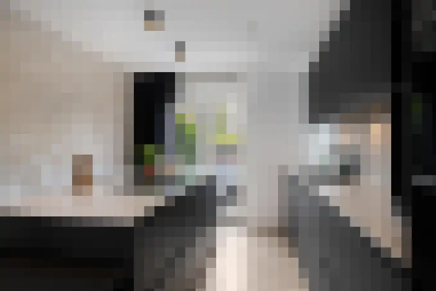 De Waard 171 Groningen thumbnail 18