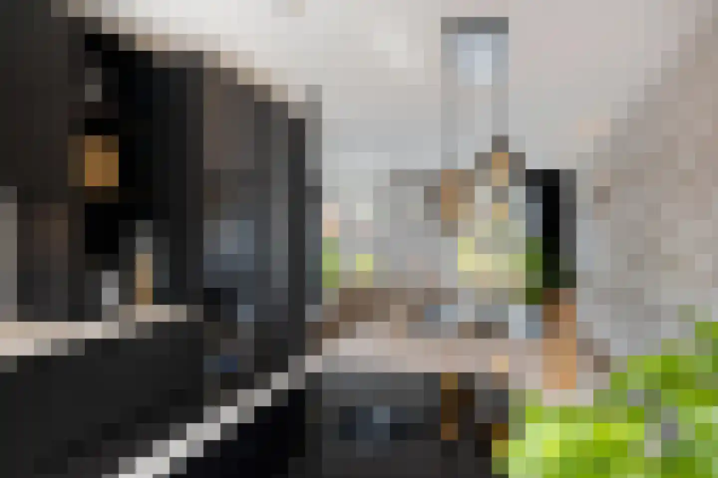 De Waard 171 Groningen thumbnail 21