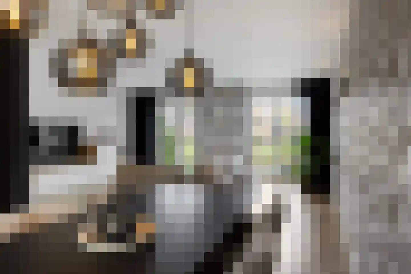 De Waard 171 Groningen thumbnail 22