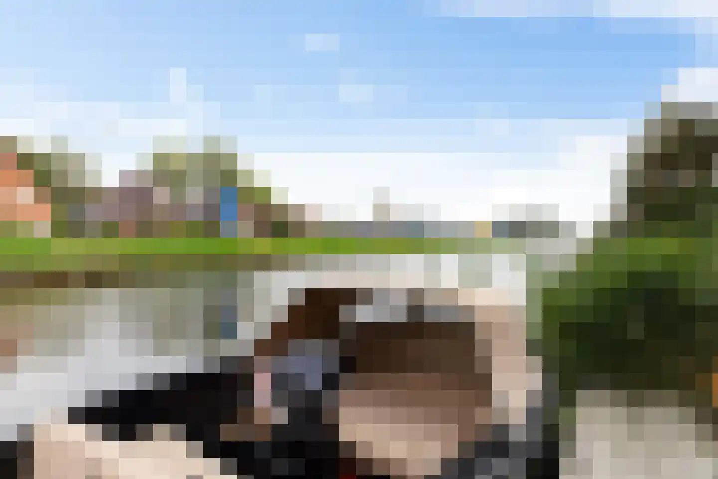 De Waard 171 Groningen thumbnail 30