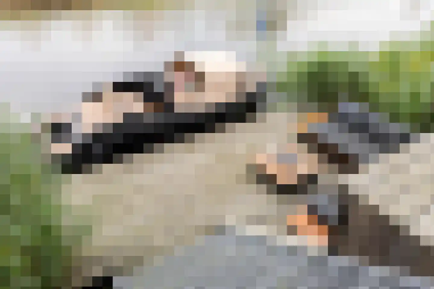 De Waard 171 Groningen thumbnail 5