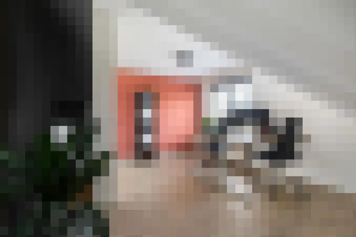 De Waard 171 Groningen thumbnail 63