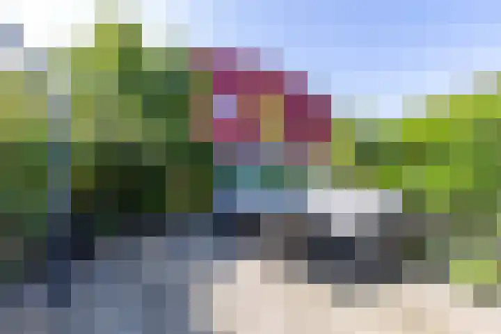De Waard 2 Groningen thumbnail 15