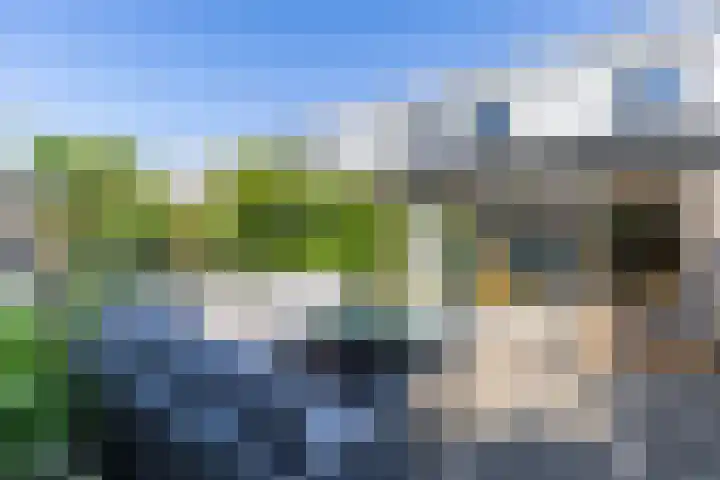 De Waard 2 Groningen thumbnail 16