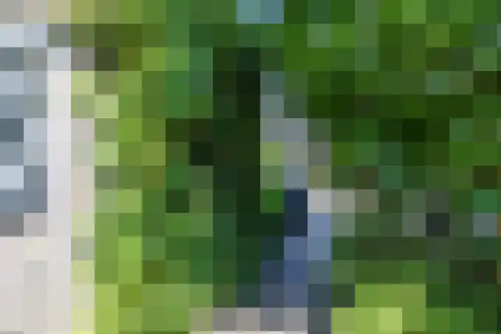 De Waard 2 Groningen thumbnail 17