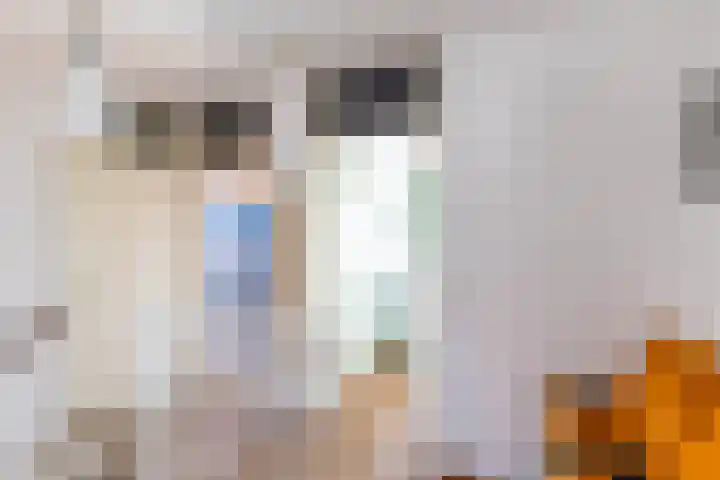 De Waard 2 Groningen thumbnail 21