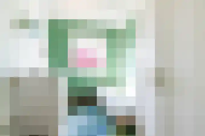 De Waard 2 Groningen thumbnail 28