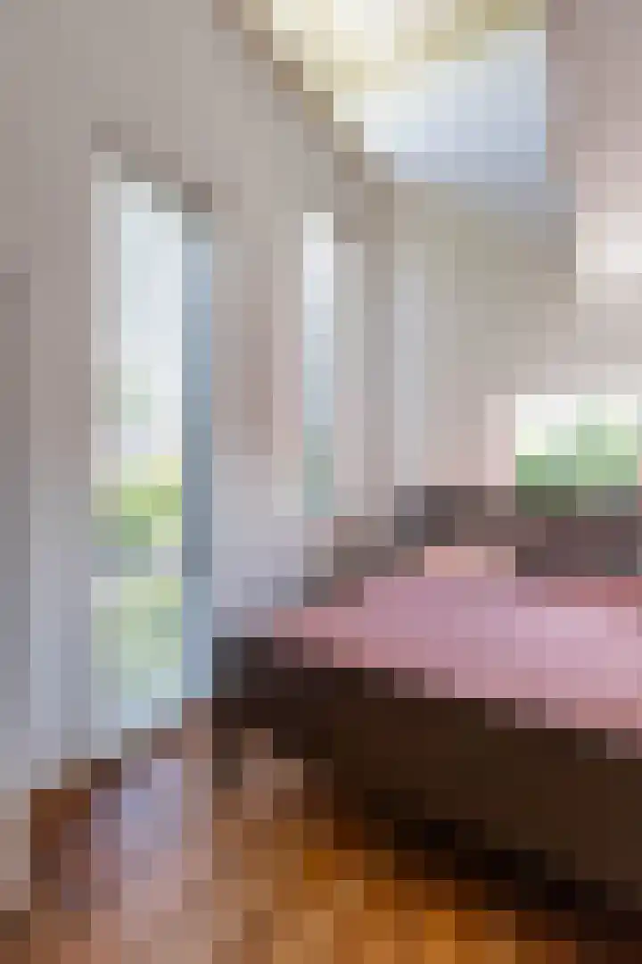 De Waard 2 Groningen thumbnail 30