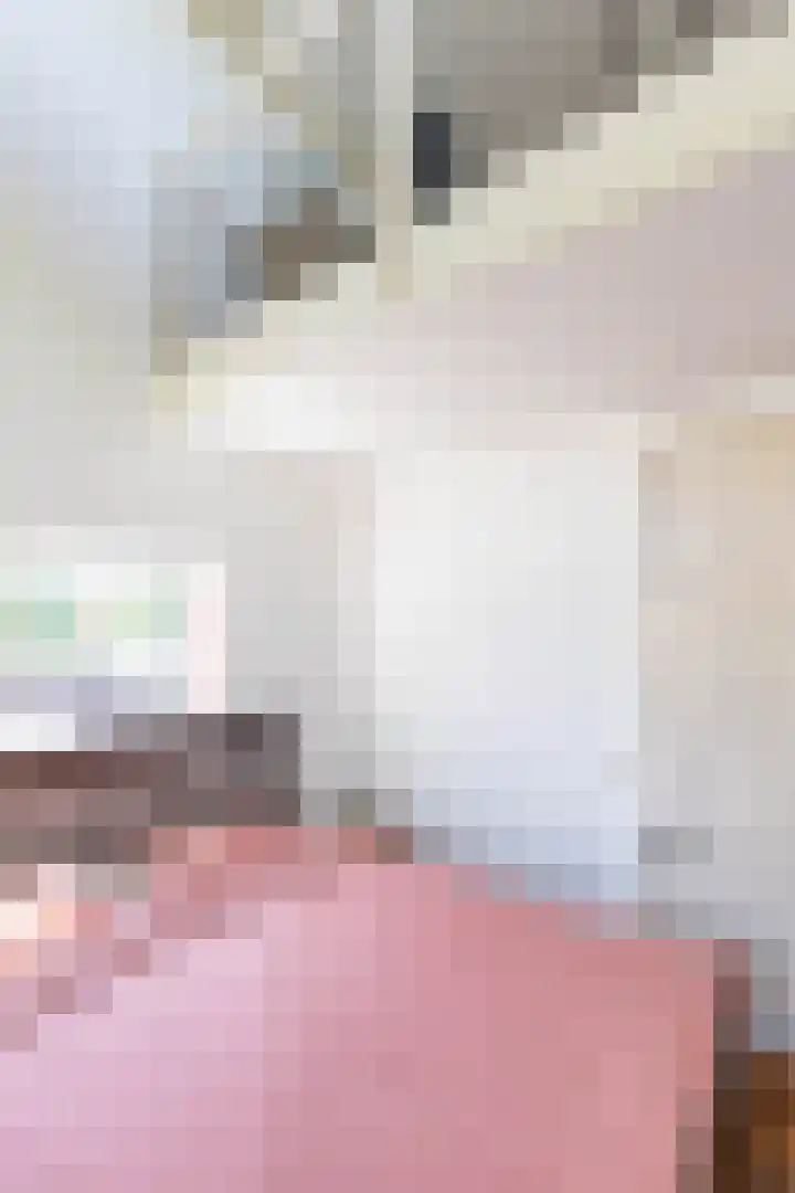 De Waard 2 Groningen thumbnail 31