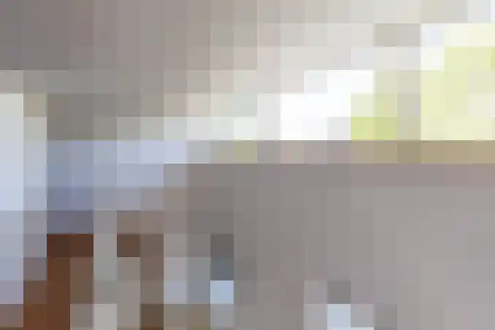 De Waard 2 Groningen thumbnail 33