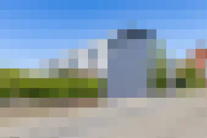 De Waard 2 Groningen thumbnail 37