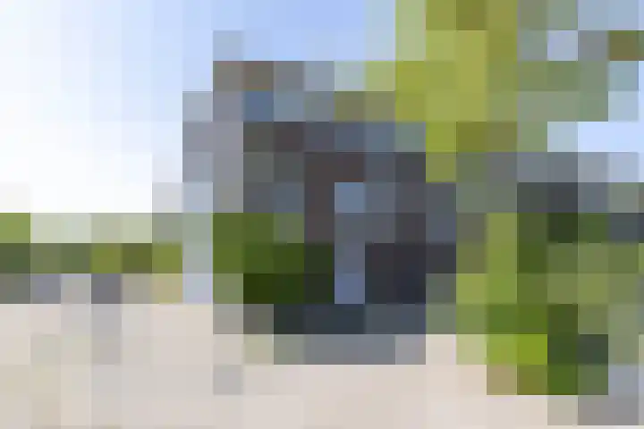 De Waard 2 Groningen thumbnail 38
