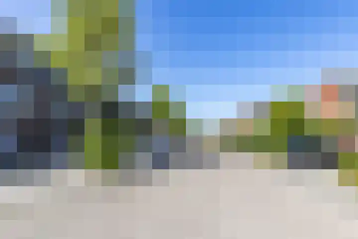 De Waard 2 Groningen thumbnail 39