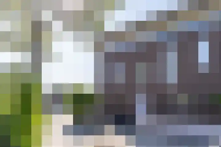 De Waard 2 Groningen thumbnail 4