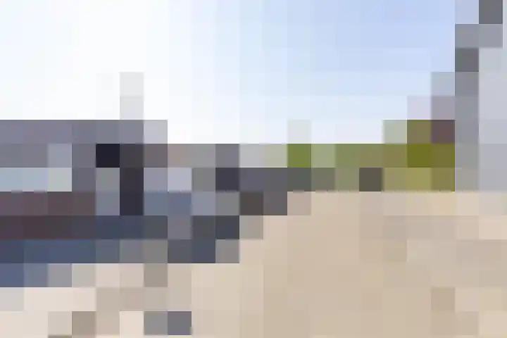 De Waard 2 Groningen thumbnail 40