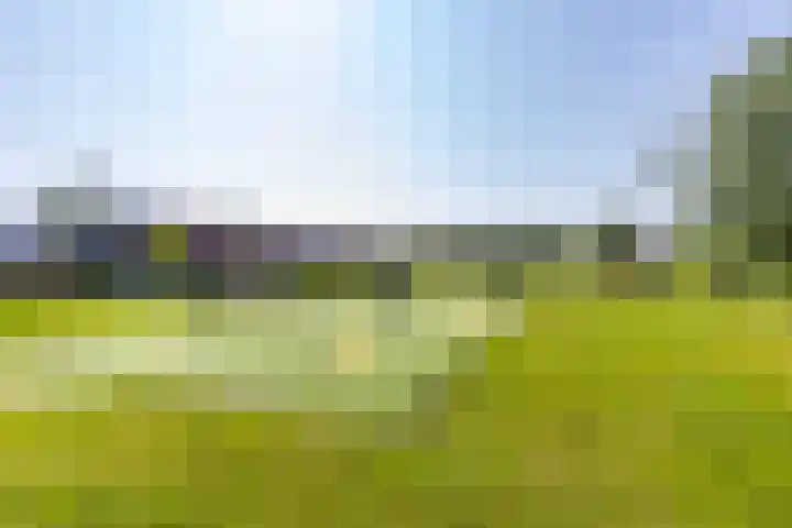 De Waard 2 Groningen thumbnail 41