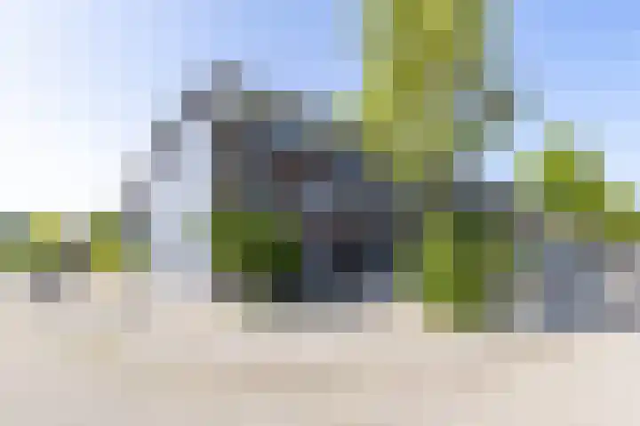 De Waard 2 Groningen thumbnail 42