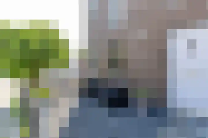 De Waard 2 Groningen thumbnail 5