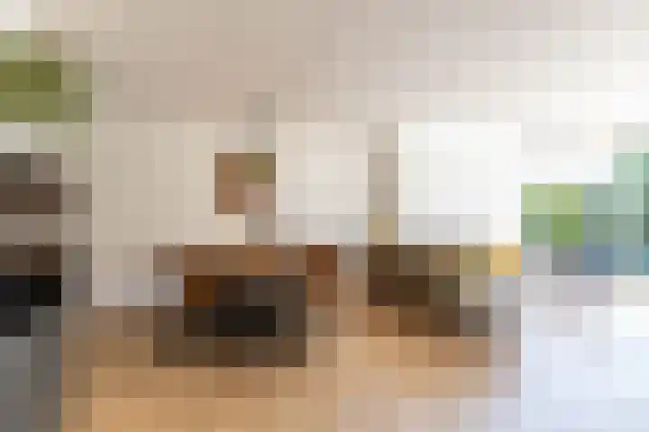 De Waard 2 Groningen thumbnail 8
