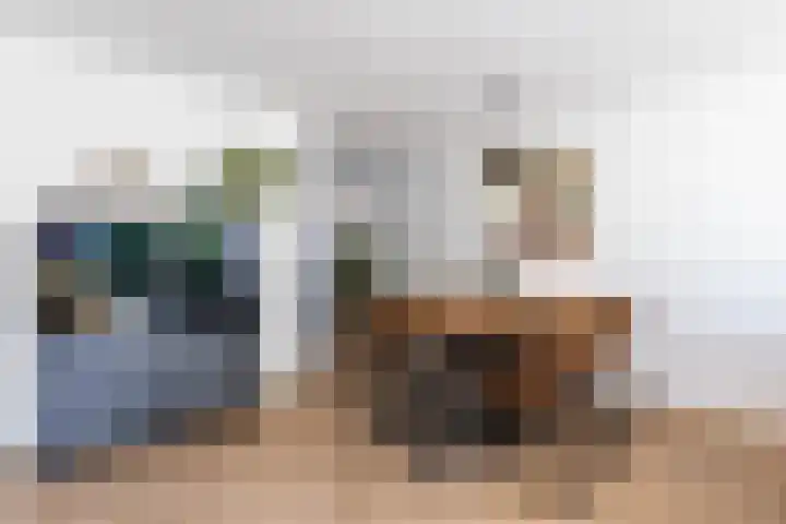 De Waard 2 Groningen thumbnail 9