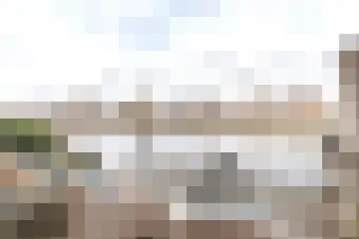 De Waard 203 Groningen thumbnail 13