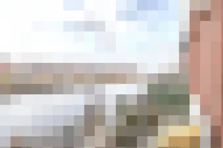 De Waard 203 Groningen thumbnail 14