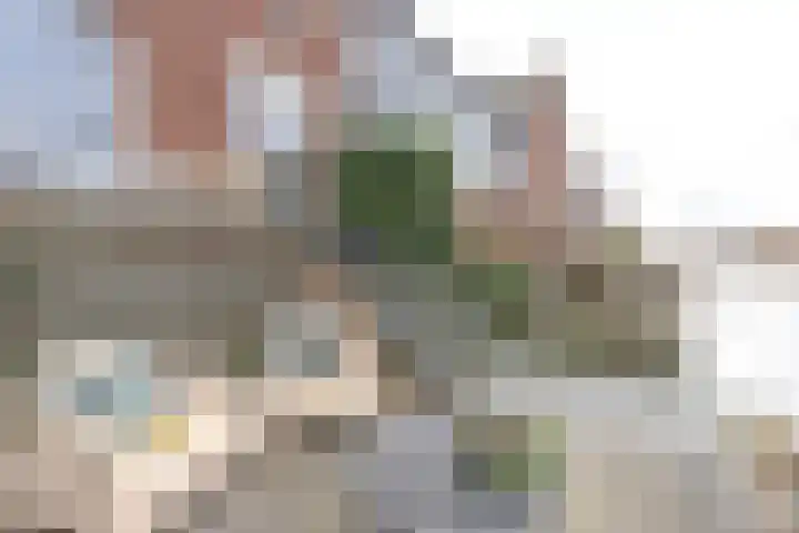 De Waard 203 Groningen thumbnail 17