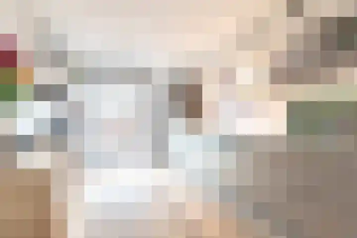De Waard 203 Groningen thumbnail 21