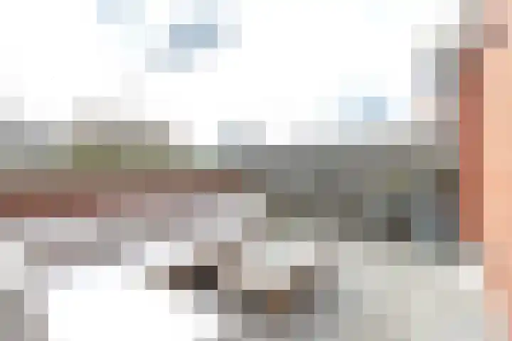 De Waard 203 Groningen thumbnail 23