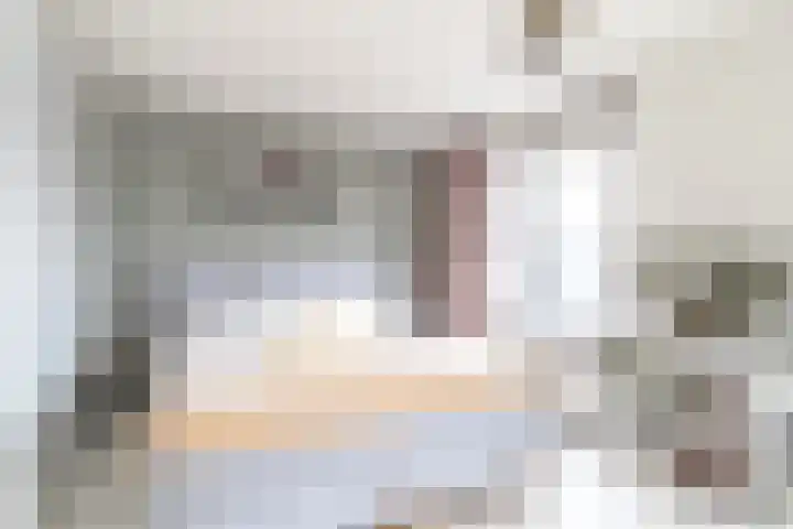 De Waard 203 Groningen thumbnail 31