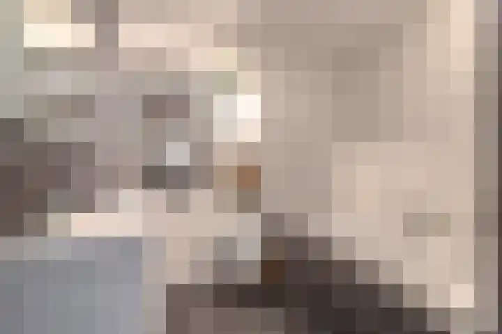 De Waard 203 Groningen thumbnail 36