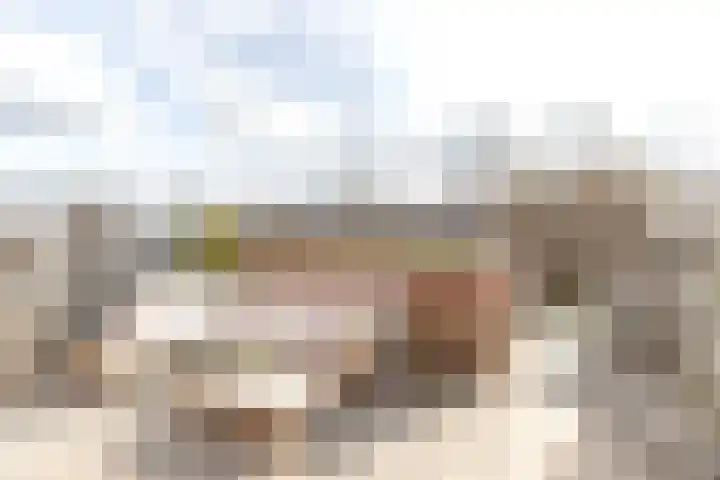 De Waard 203 Groningen thumbnail 43