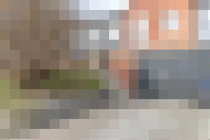 De Waard 203 Groningen thumbnail 6
