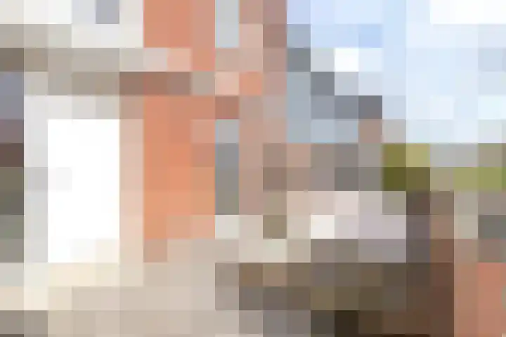 De Waard 203 Groningen thumbnail 7