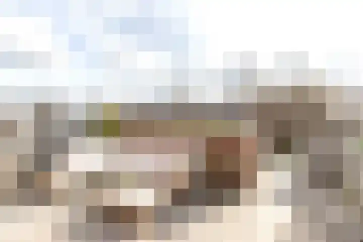 De Waard 203 Groningen thumbnail 8