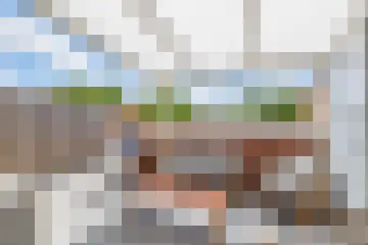 De Waard 233 Groningen thumbnail 14