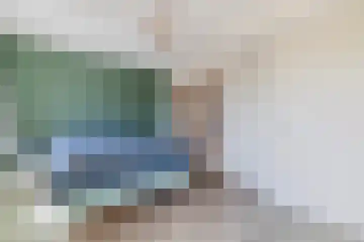 De Waard 233 Groningen thumbnail 25