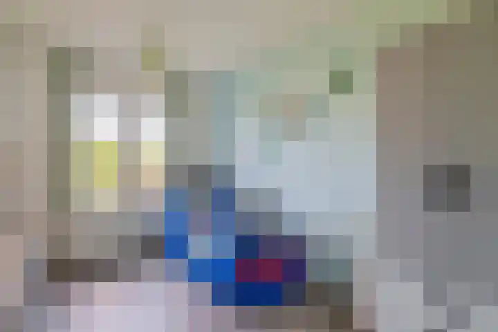 De Waard 233 Groningen thumbnail 27