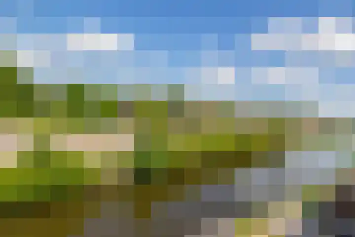 De Waard 233 Groningen thumbnail 36