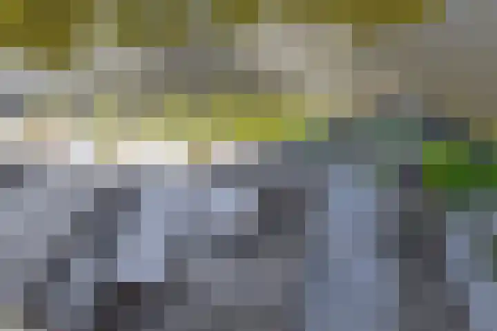De Waard 233 Groningen thumbnail 37