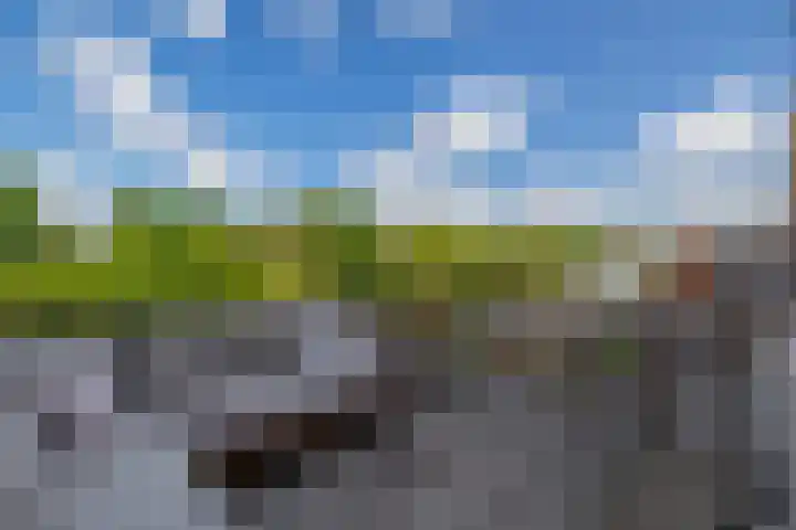 De Waard 233 Groningen thumbnail 38