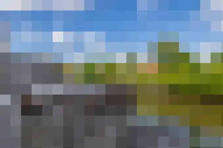De Waard 233 Groningen thumbnail 39